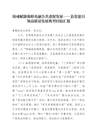 铸魂赋能强根基 融合共进促发展——县党建引领高质量发展典型经验汇报