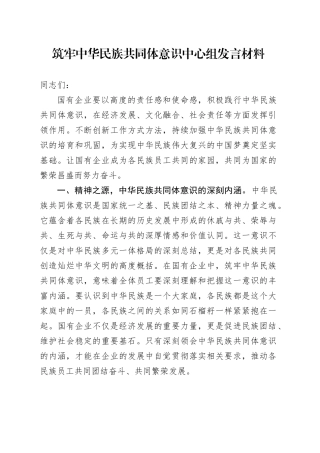 筑牢中华民族共同体意识中心组发言（公司）
