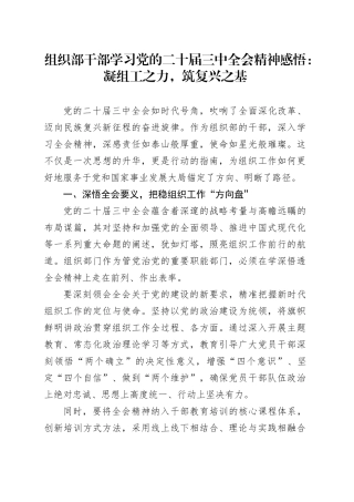组织部干部学习党的二十届三中全会精神感悟：凝组工之力，筑复兴之基