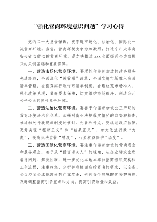 “强化营商环境意识问题”学习心得