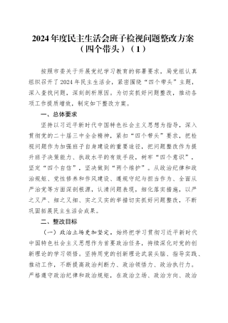 【4篇】2024年度民主生活会班子检视问题整改方案（含市委、审计局、司法局等，四个带头）20250314