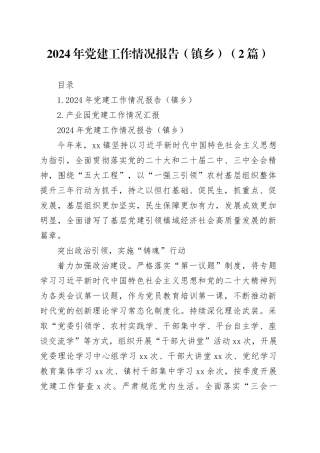 2024年党建工作情况报告（镇乡）（2篇）