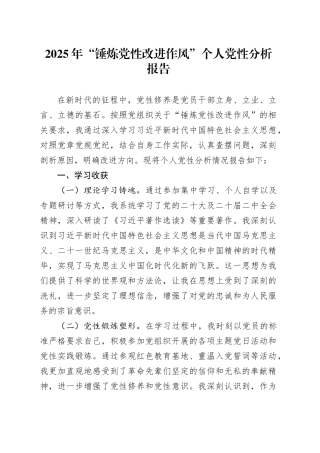 2025年“锤炼党性改进作风”个人党性分析报告