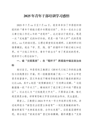 2025年青年干部培训学习感悟