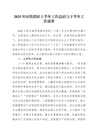 2025年区供销社上半年工作总结与下半年工作部署（1）