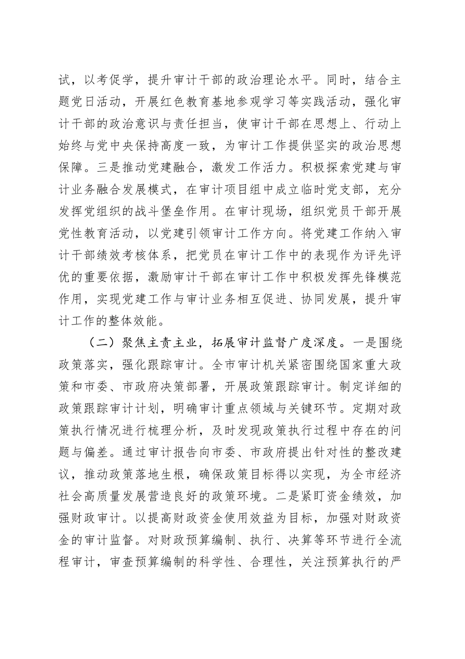 2025年全市审计工作会议讲话20250319_第2页