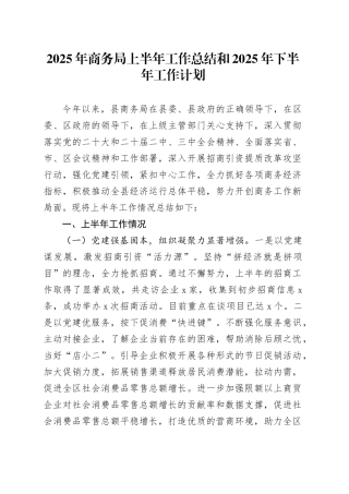 2025年商务局上半年工作总结和2025年下半年工作计划