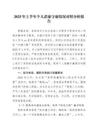 2025年上半年个人诺廉守廉情况对照分析报告