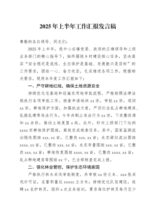 2025年上半年工作汇报发言稿