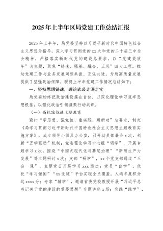 2025年上半年区局党建工作总结汇报