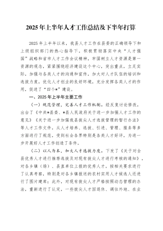 2025年上半年人才工作总结及下半年打算