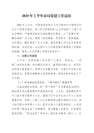 2025年上半年市局党建工作总结（2）