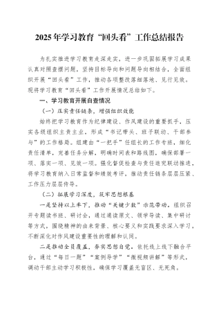 2025年深入贯彻中央八项规定精神学习教育“回头看”工作总结报告20250808