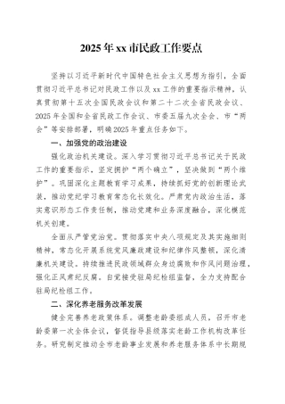 2025年市民政工作要点