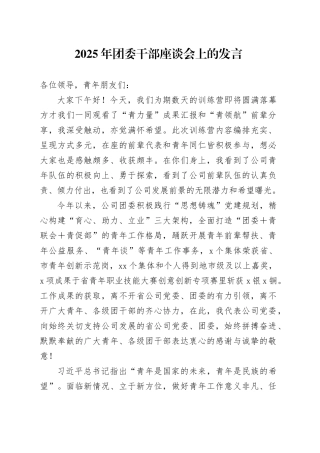 2025年团委干部座谈会上的发言