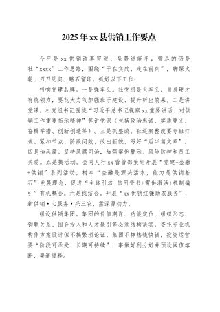 2025年县供销工作要点
