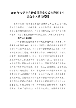 2025年乡党委宣传委员巡察整改专题民主生活会个人发言提纲