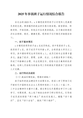 2025年乡镇街道班子运行情况综合报告