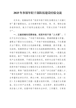 2025年乡镇街道年轻干部队伍建设经验交流