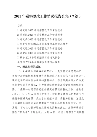 2025年巡察整改工作情况报告合集（7篇）