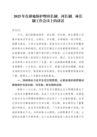 2025年在耕地保护暨田长制、河长制、林长制工作会议上的讲话