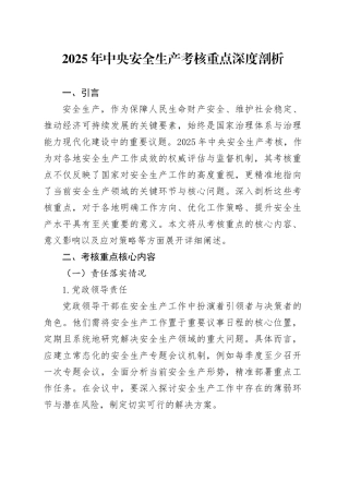 2025年中央安全生产考核重点深度剖析