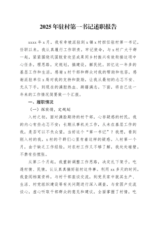 2025年驻村第一书记述职报告
