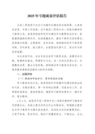 2025年专题成效评估报告