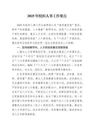 2025年组织人事工作要点