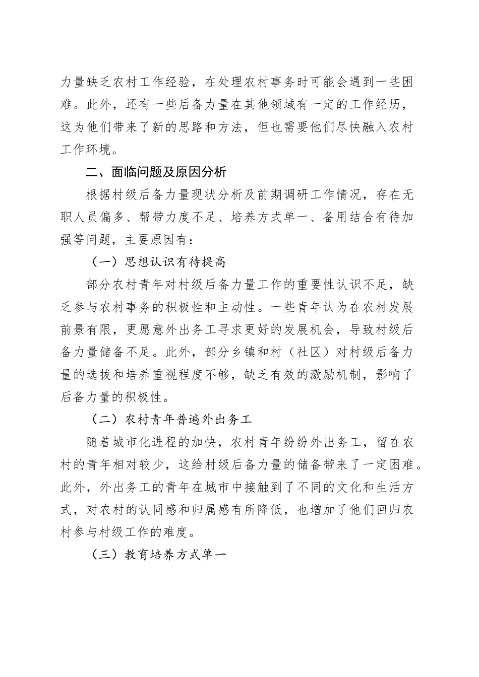 2025年最新村级后备力量分析评估报告_第2页