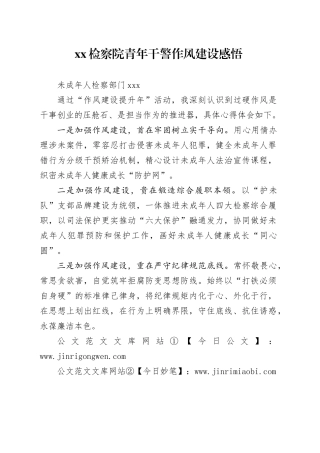 XX检察院青年干警作风建设感悟