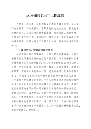 XX局副局长三年工作总结