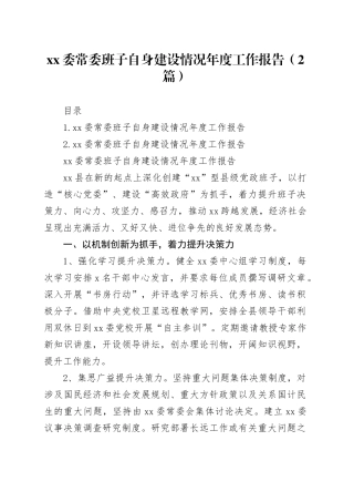 xx委常委班子自身建设情况年度工作报告（2篇）