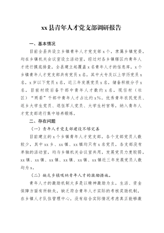 Xx县青年人才党支部调研报告