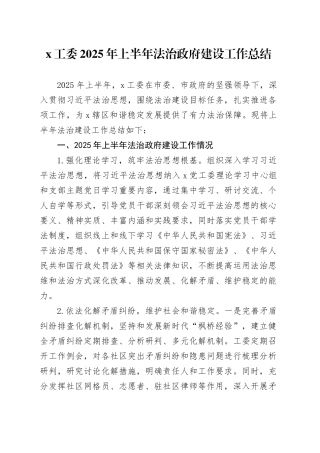 X工委2025年上半年法治政府建设工作总结