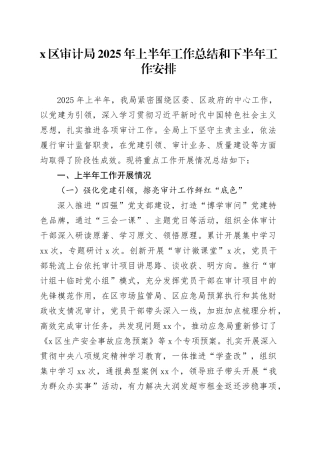 X区审计局2025年上半年工作总结和下半年工作安排