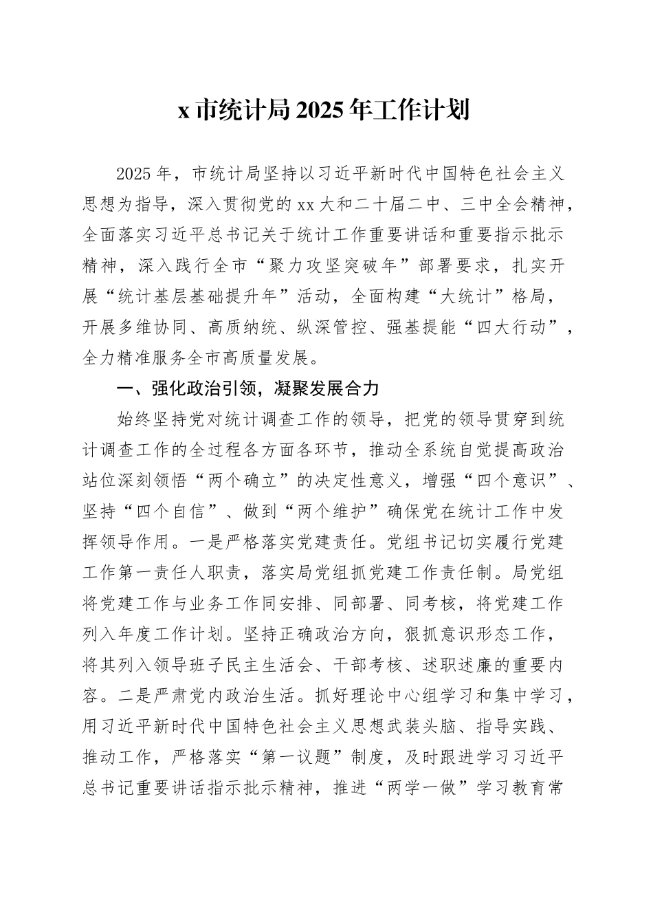X市统计局2025年工作计划_第1页