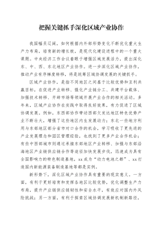 把握关键抓手深化区域产业协作
