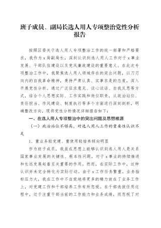 班子成员、副局长选人用人专项整治党性分析报告
