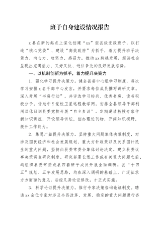 班子自身建设情况报告