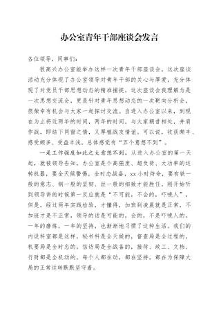 办公室青年干部座谈会发言