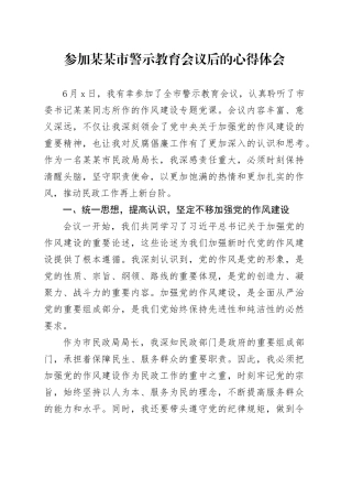 参加某某市警示教育会议后的心得体会