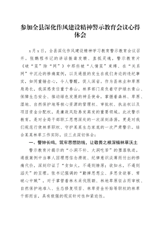 参加全县深化作风建设精神警示教育会议心得体会