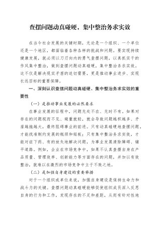 查摆问题动真碰硬，集中整治务求实效