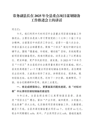 常务副县长在2025年全县重点项目谋划储备工作推进会上的讲话