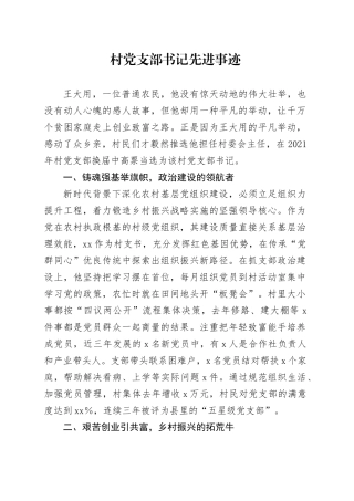 村党支部书记先进事迹20250528