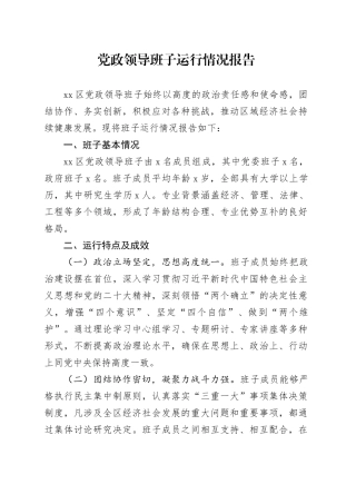 党政领导班子运行情况报告