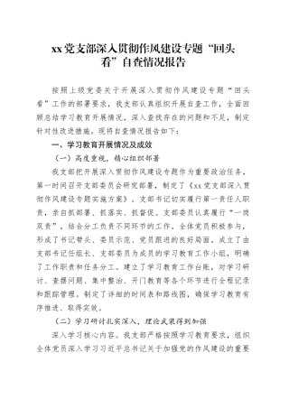 党支部深入贯彻作风建设专题“回头看”自查情况报告