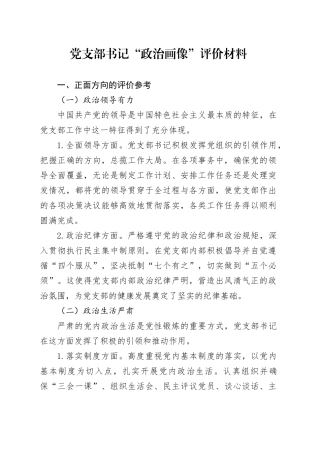 党支部书记“政治画像”评价材料