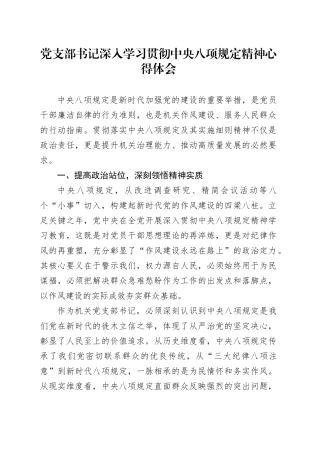 党支部书记深入学习贯彻中央八项规定精神心得体会
